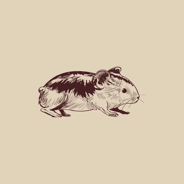 Illustratie Tekening Stijl Van Rat — Stockfoto