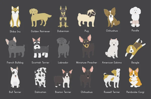 Ілюстрація Колекції Значків Собак — стокове фото