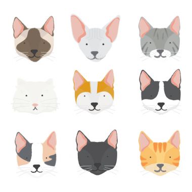 Kedi ve köpekler simgesi toplama gösterimi 