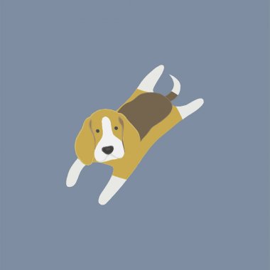 Köpek simgesi toplama gösterimi 