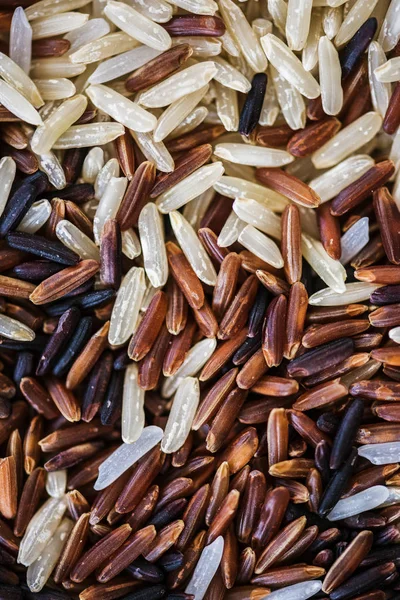 Closeup Mixed Rice — Stock Photo, Image