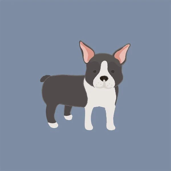 犬のアイコンをコレクションのイラスト — ストック写真