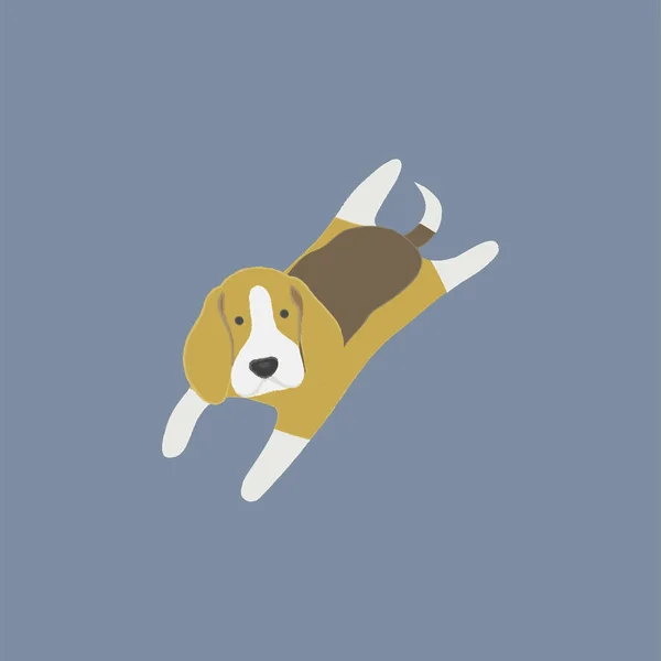 Illustration Dog Icon Collection — Stock Photo, Image