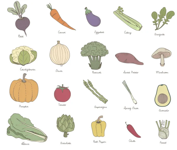 Illustration Utformningen Vegetabiliska Koncept — Stockfoto