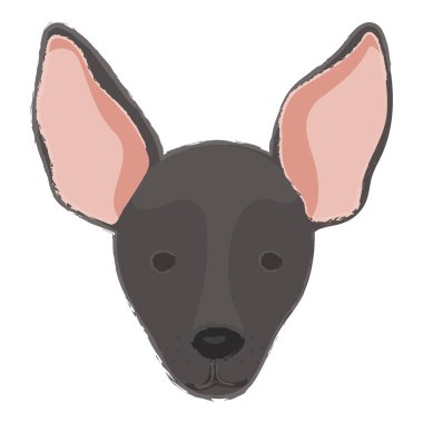 Namlu bir köpek resmi