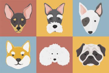 Köpekler simgesi toplama gösterimi 