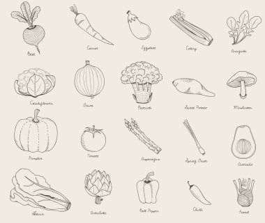 Sebze konsept illüstrasyon tasarımı