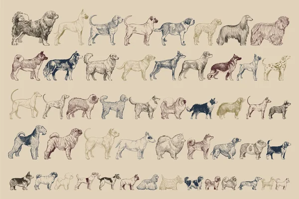 Εικονογράφηση Στυλ Σχεδίασης Του Σκύλου — Φωτογραφία Αρχείου