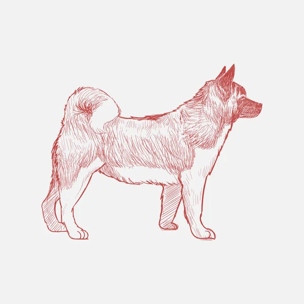 犬のイラストの描き方 — ストック写真