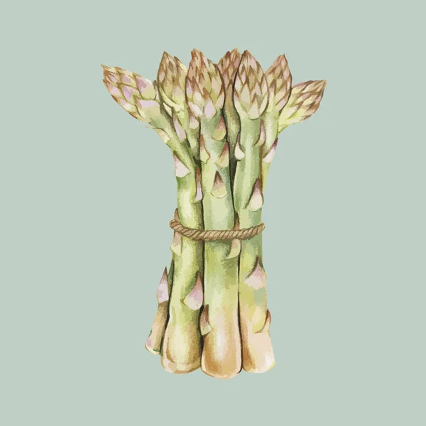 Illustration Hand Drawn Collection Celery — Stock Photo, Image