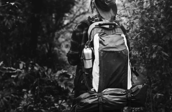 Frau Beim Trekking Wald — Stockfoto