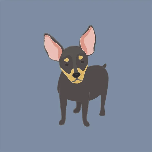 Ilustracja Pies Ikonę Kolekcji — Zdjęcie stockowe