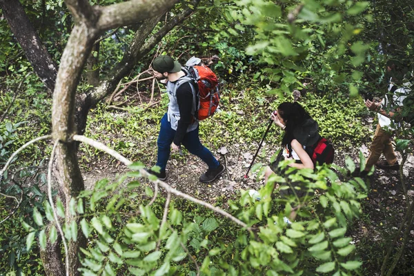 Friends trekking in the forest