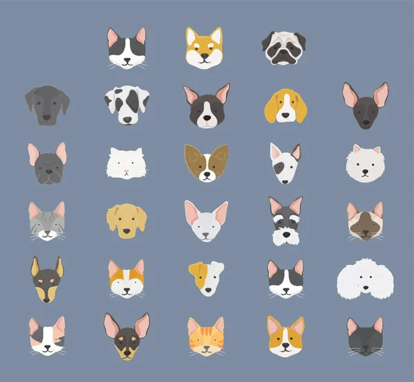 Illustration of dogs icon collection