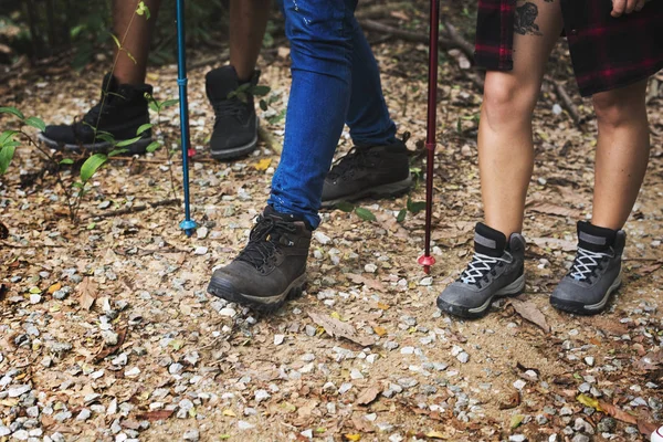 Pessoas Trekking Uma Floresta Conceito Natureza — Fotografia de Stock