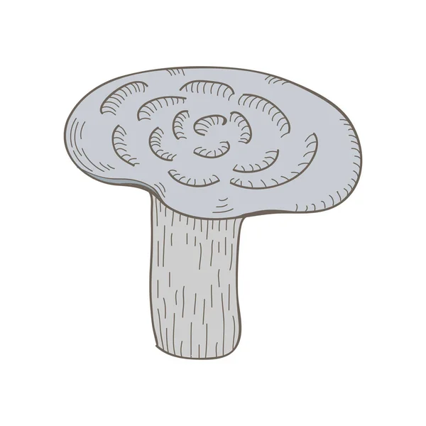 Illustration Une Variante Champignon — Photo