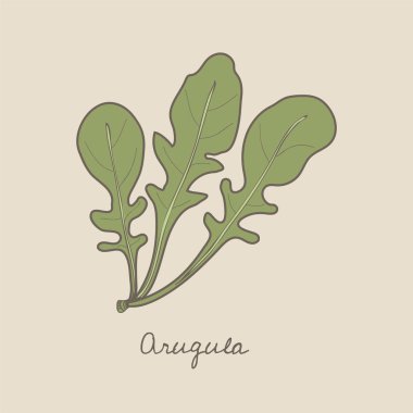 Sebze konsept illüstrasyon tasarımı