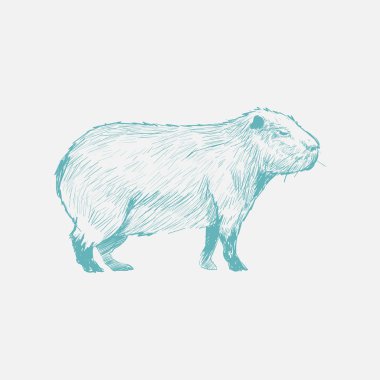 Fare şekil çizim tarzı