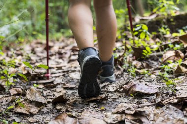 insan'ın bacakları Trekking bir ormanda
