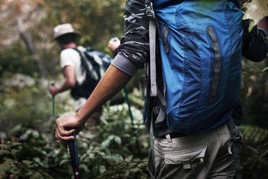 Ormanda yürüyüş arkadaş