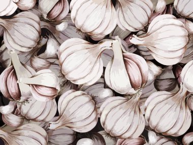 El çizimi sarımsak topluluğu çizilmiş