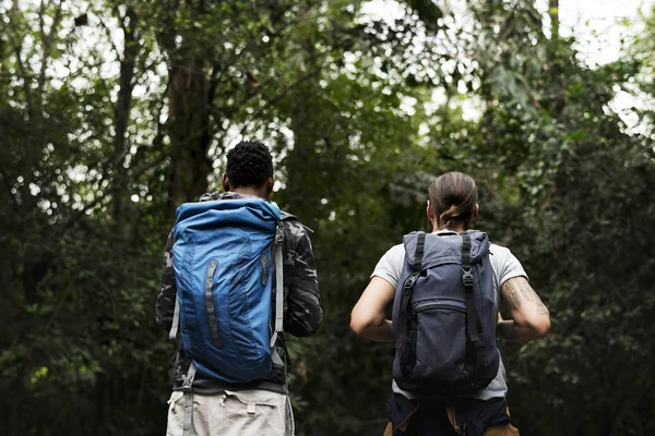 Amigos Trekking Bosque — Foto de Stock
