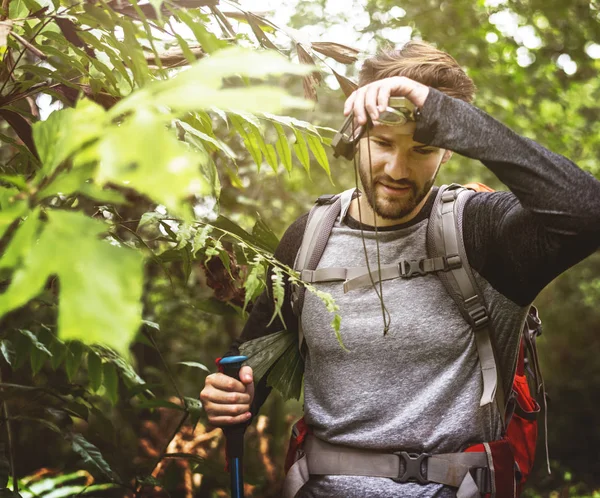 Homme Trekking Dans Forêt — Photo