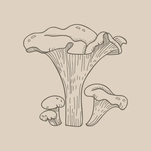 Ilustração Cogumelo Variante — Fotografia de Stock