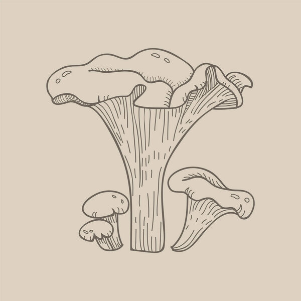 Illustration of one variant mushroom