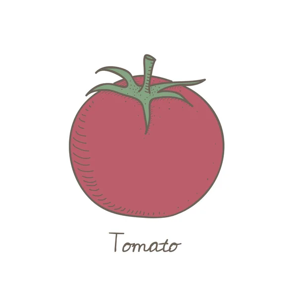 Иллюстрационный Дизайн Овощной Концепции — стоковое фото