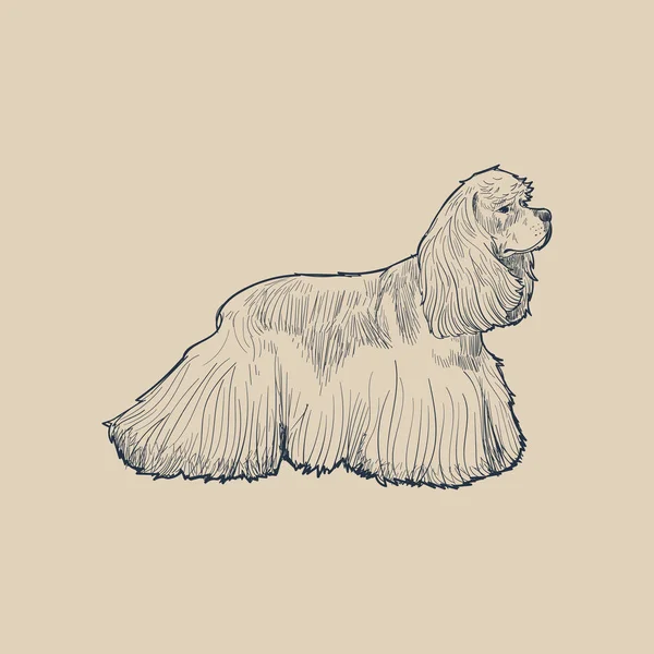 Illustration Drawing Style Dog — Stock Photo, Image