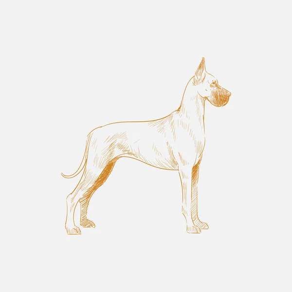 Ilustración Dibujo Estilo Perro —  Fotos de Stock