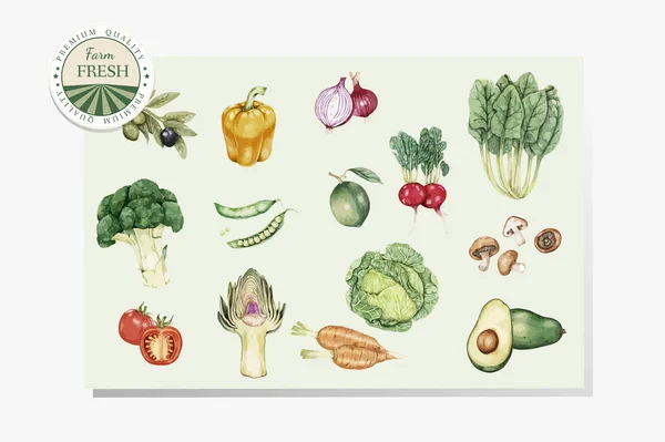 手工抽取蔬菜的插图 — 图库照片
