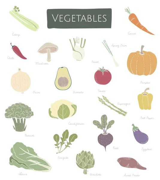 Illustration Design Vegetable Concept — Stock Photo, Image