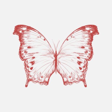 Kelebeğin çizim biçimi