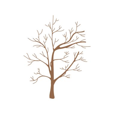 tasarlamak flora türü