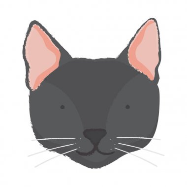 Namlu bir kedi resmi