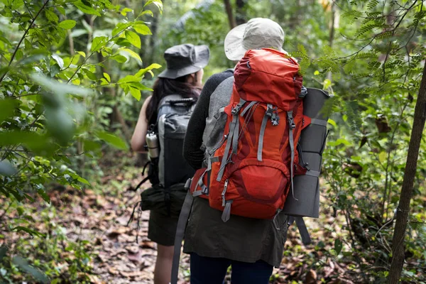 Amigos Trekking Bosque —  Fotos de Stock