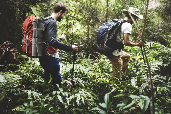 朋友们在森林里徒步旅行 — 图库照片