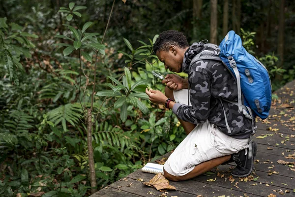 Biologe Wald Betrachtet Pflanze Mit Lupe — Stockfoto