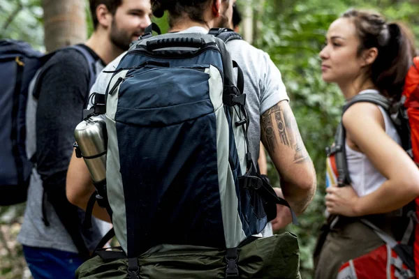 Amigos Trekking Bosque —  Fotos de Stock