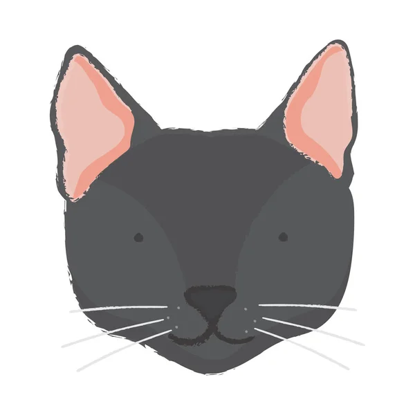 Namlu Bir Kedi Resmi — Stok fotoğraf