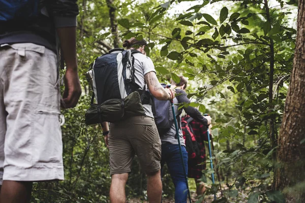 Friends Trekking Forest — Stock Photo, Image