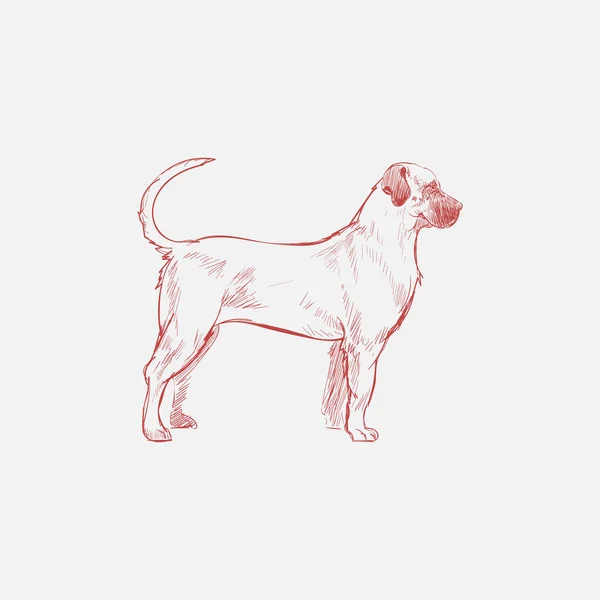 Ilustração Desenho Estilo Cão — Fotografia de Stock