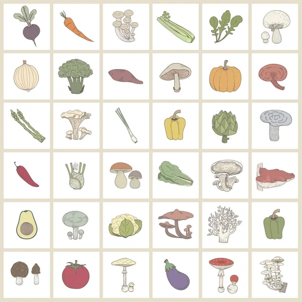 Ilustración Diferentes Tipos Verduras — Foto de Stock