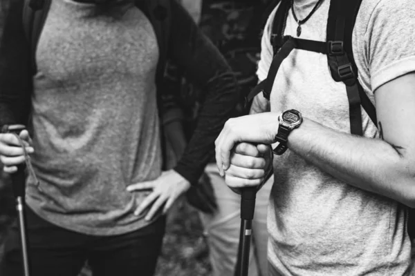 Wandelen Een Bos — Stockfoto