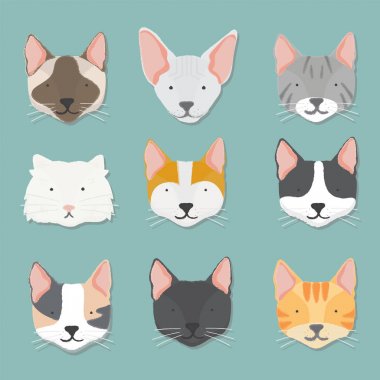 Köpekler simgesi toplama gösterimi 