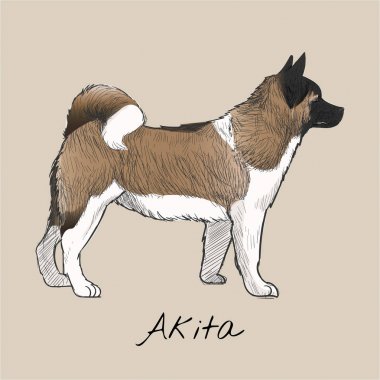 Köpek çizim çizim tarzı