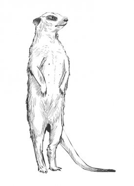 Çizim hayvan toplama stili illüstrasyon