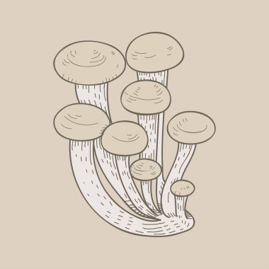 Resimde bir varyant mantar